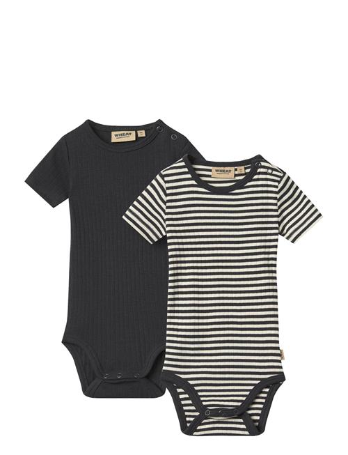 Wheat | 2 Rib Body S/S Timo | 62