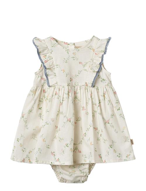 Wheat | Dress Suit Lace Sofia | 86