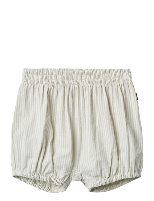 Wheat | Shorts Ollie | 86