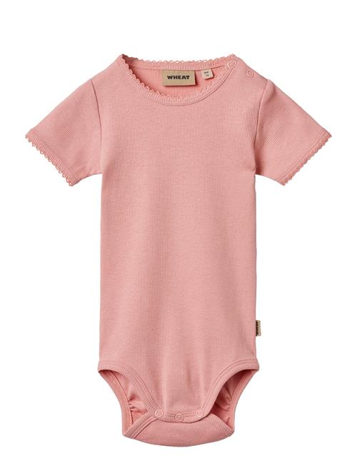 Wheat | Rib Body S/S Lace Elisa | 62