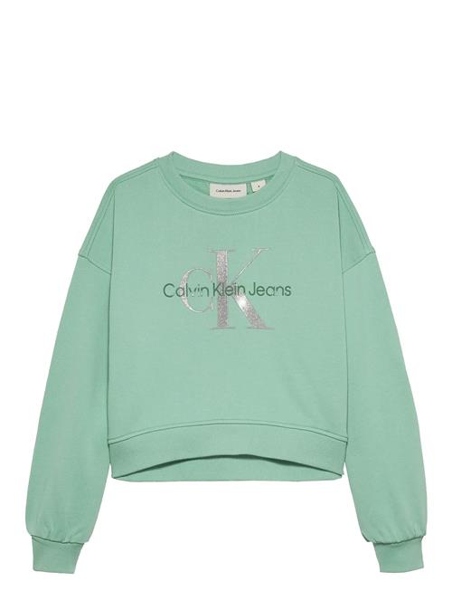 Calvin Klein | Glitter Monologo Cn Sweatshirt | 170