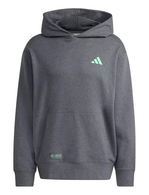 adidas Performance | Mer Ps Hood M | L