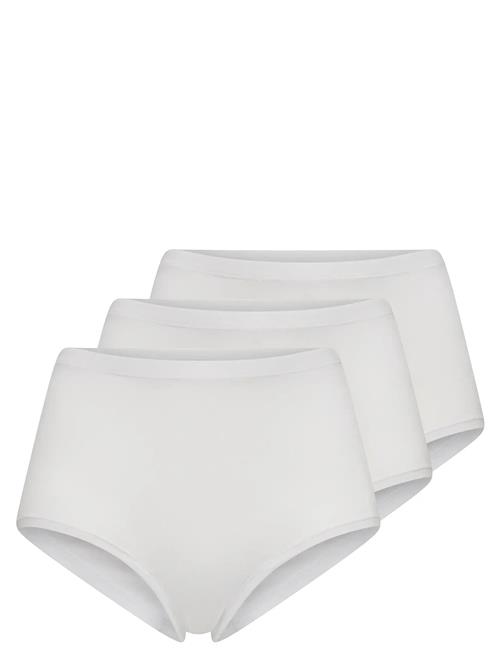 Decoy | Decoy Maxi 3-Pack | M