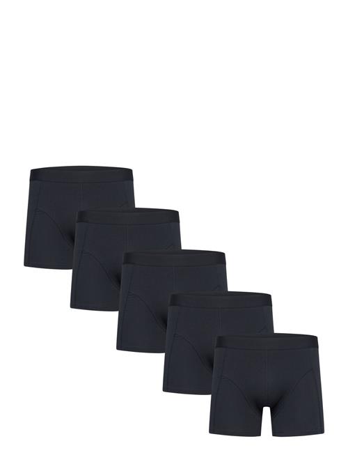 Shine Original | 5 Pack Tights | M