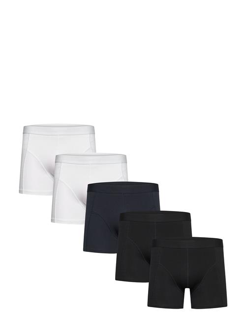 Shine Original | 5 Pack Tights | XXL