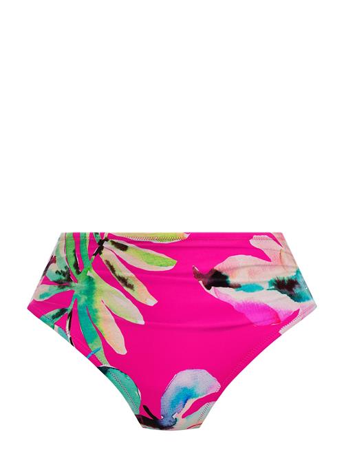 Fantasie | Carabelita | M