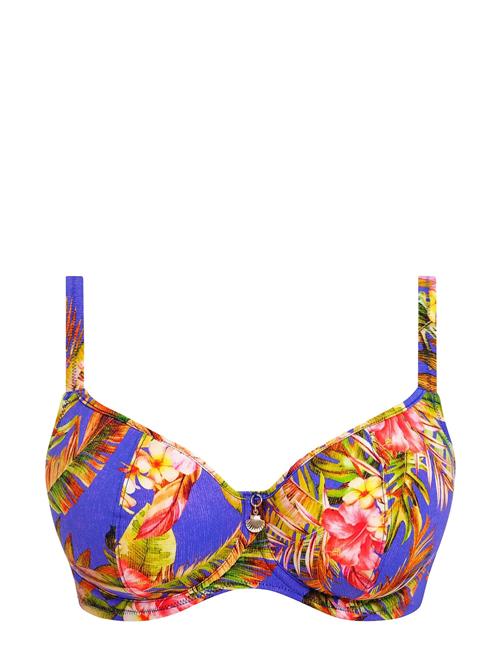 Freya | Tiger Valley | F x 75