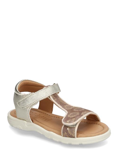 Bisgaard | Bisgaard Vilde | 31