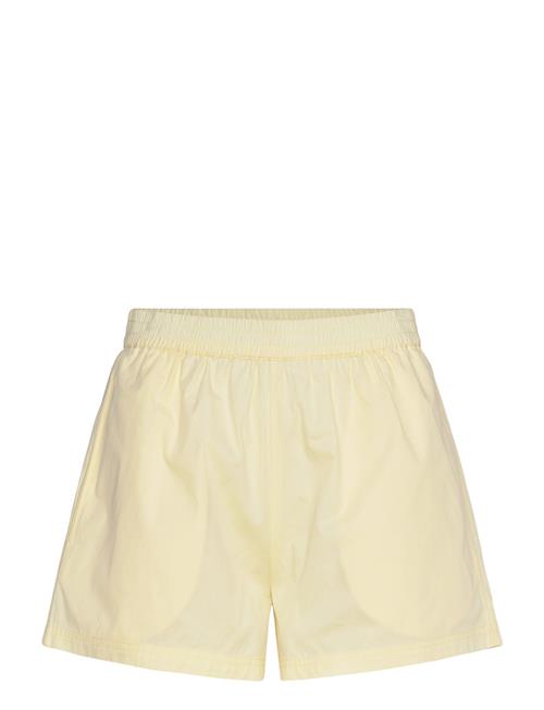 2NDDAY | 2Nd Ray - Poplin | 42