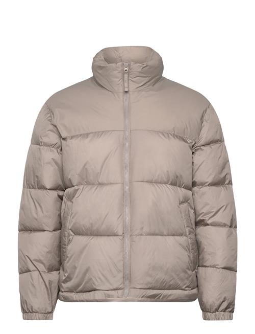 Hollister | Hco. Guys Outerwear | XXL