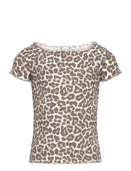 Lindex | Top Rib With Curly Hem And Aop | 128