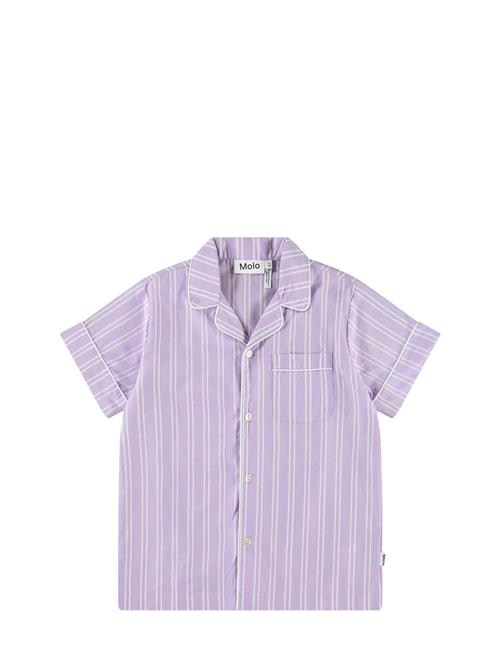 Molo | Rara | 134/140