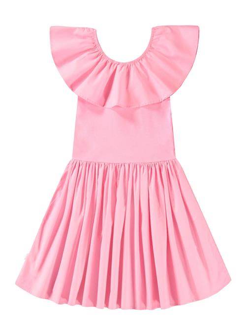 Molo | Christal | 146/152