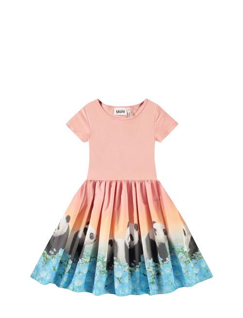 Molo | Cissa | 98/104