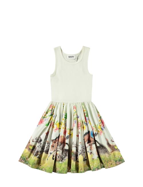 Molo | Cassandra | 158/164