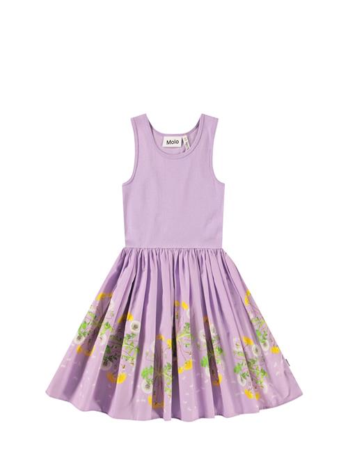 Molo | Cassandra | 134/140