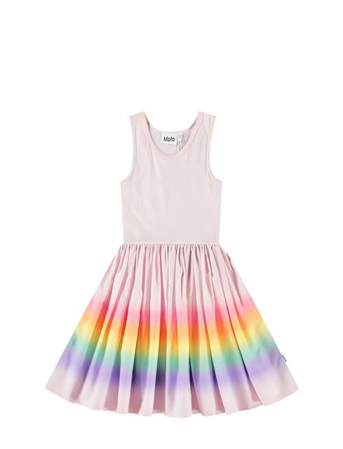 Molo | Cassandra | 146/152