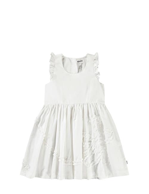 Molo | Cortney | 122/128