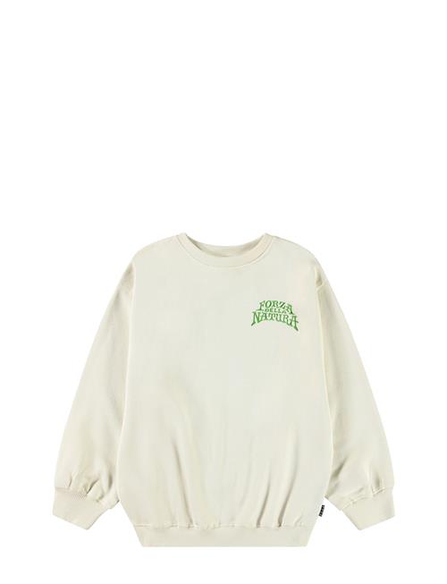 Molo | Monti | 98