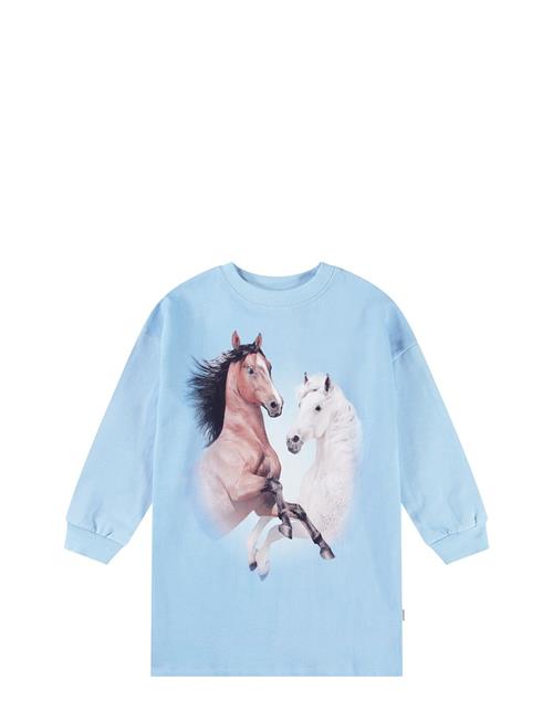 Molo | Cyrella | 92/98