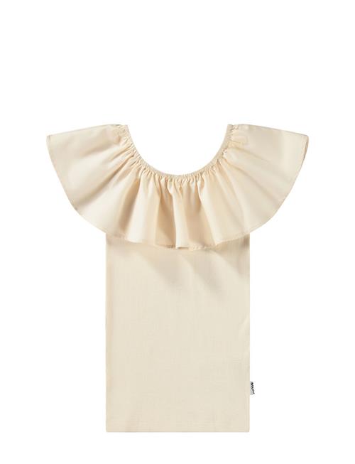 Molo | Reca | 158/164