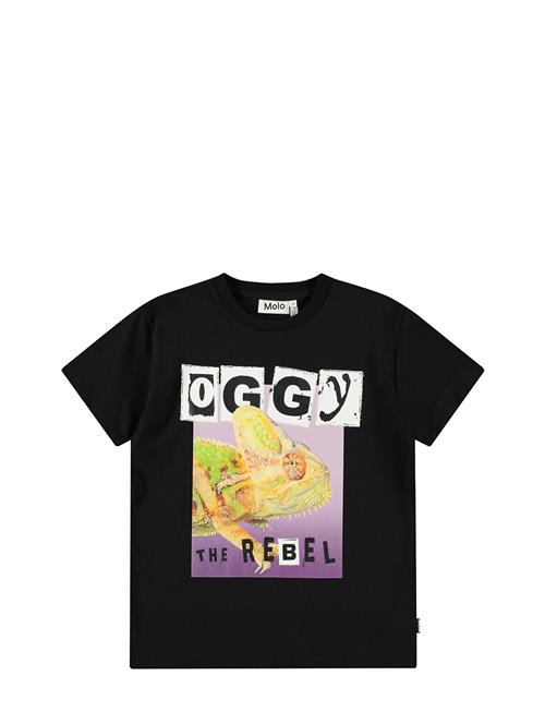 Molo | Riley | 98