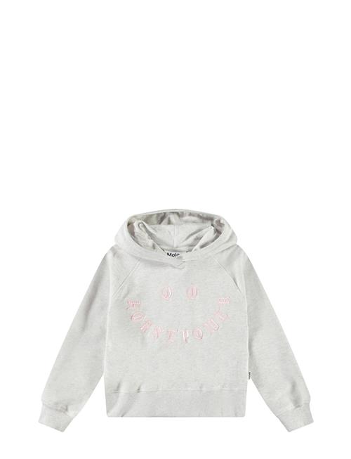 Molo | Minelli | 140