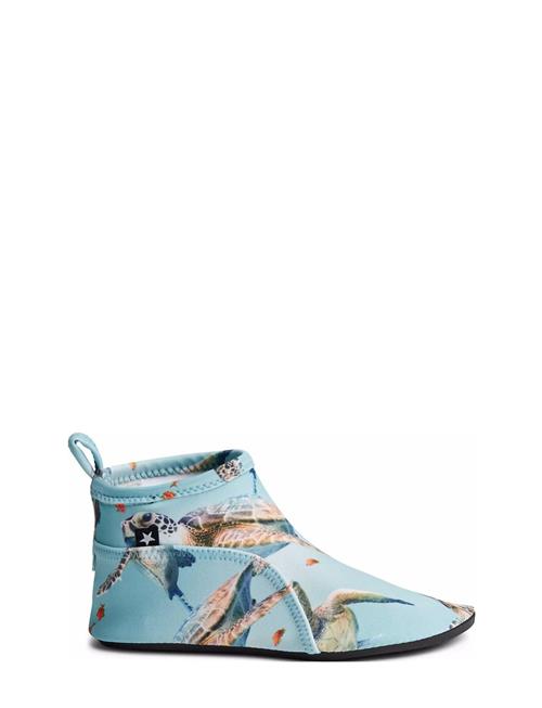 Molo | Zimba | 29/30