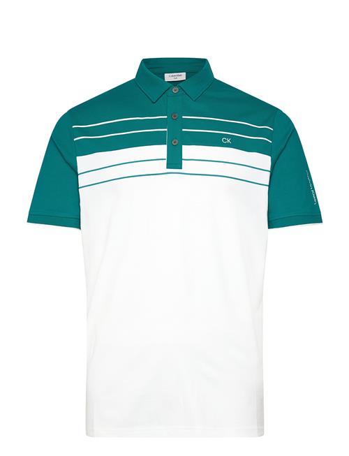 Calvin Klein Golf | Pinebrook Polo | XL
