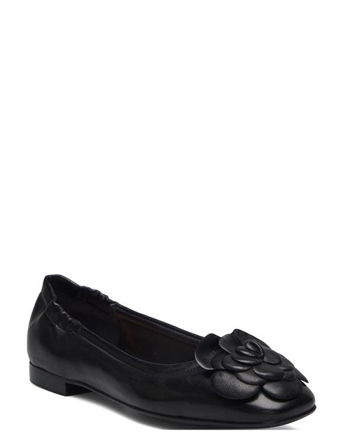 Billi Bi | Ballerina | 37