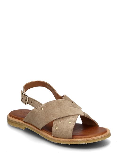 Billi Bi | Trotter | 38