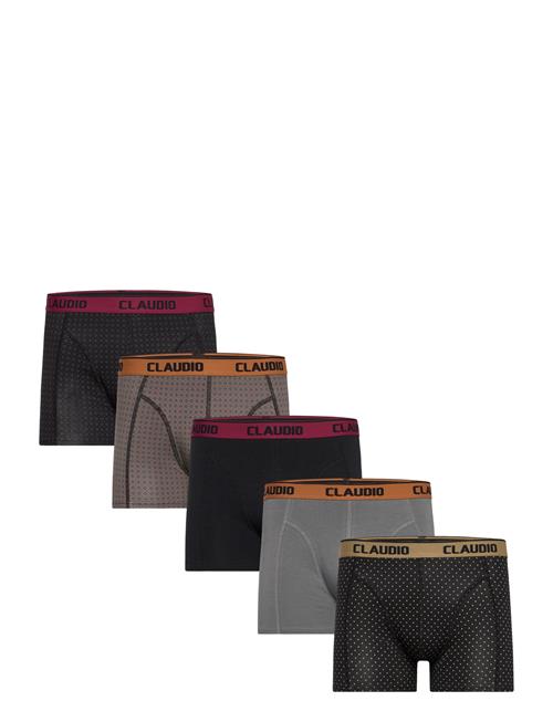 Claudio | Claudio 5-Pack Tights | XXL