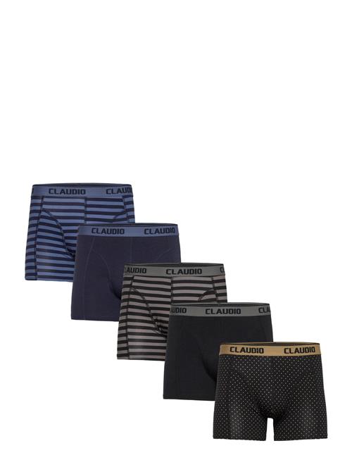 Claudio | Claudio 5-Pack Tights | XXL