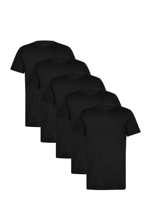 Claudio | Claudio 5-Pack T-Shirt Cotton | L