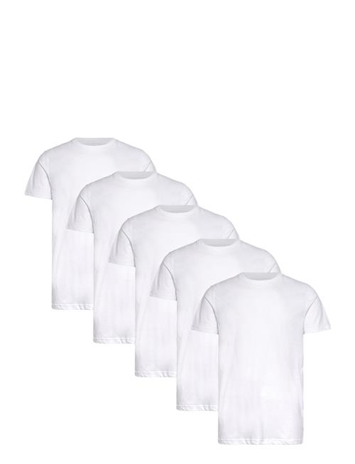 Claudio | Claudio 5-Pack T-Shirt Cotton | S