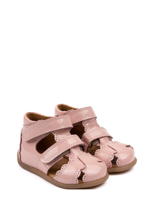 Pom Pom | Starters Two Velcro Scalloped Sand | 22