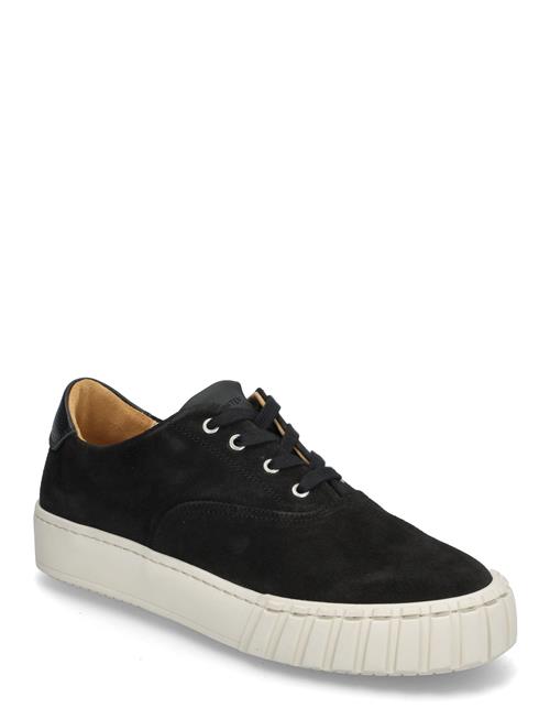 Sneaky Steve | Kim U Black | 43