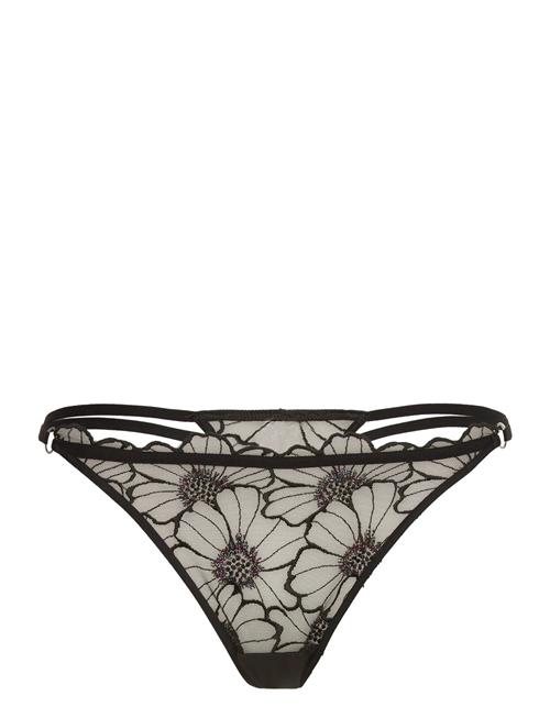 CHANTELLE | Lush Thong | 36