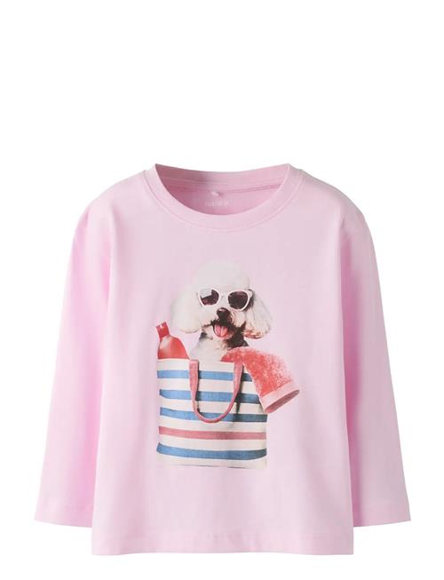 name it | Nmfvotea Ls Nreg Top | 86