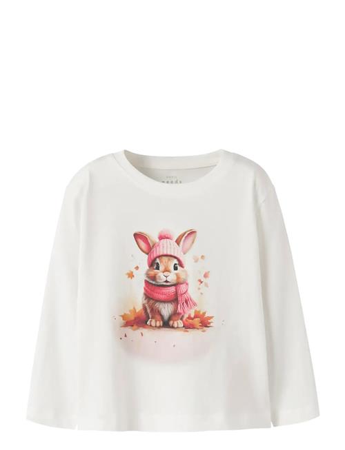 name it | Nmfvotea Ls Nreg Top | 104