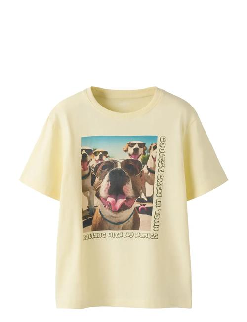 name it | Nkmvoto Ss Nreg Top | 134-140