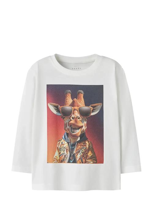 name it | Nmmvoto Ls Nreg Top | 98