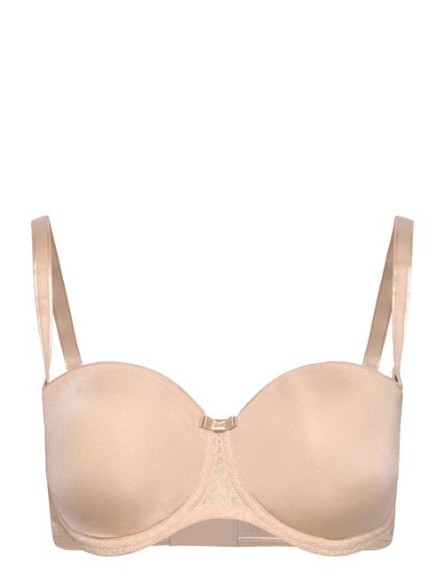 Triumph | Beauty-Full Essential Wdp | D x 90