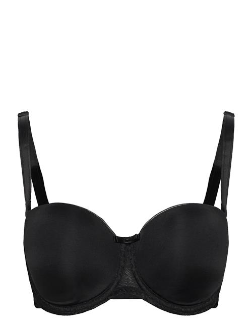 Triumph | Beauty-Full Essential Wdp | E x 70