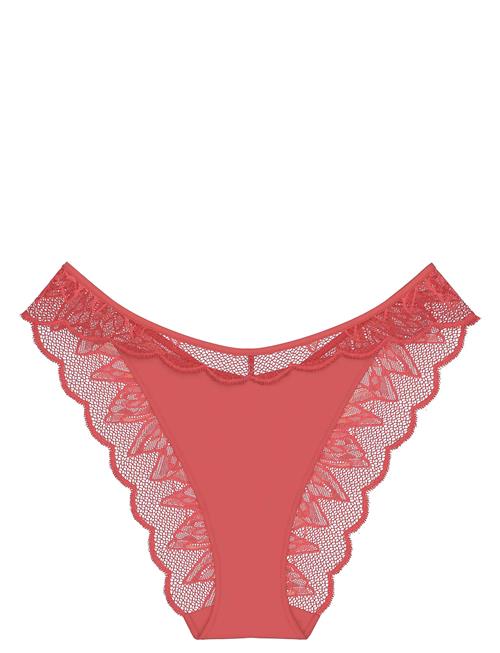 Triumph | Crazy Stupid Love Highleg Tai | 40