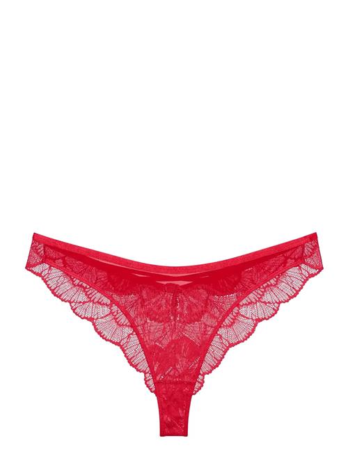 Triumph | Palina Moonlight Kiss Brazilian | 46