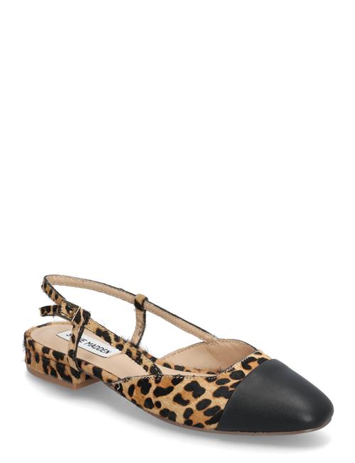 Steve Madden | Belinda-L Ballerina | 36