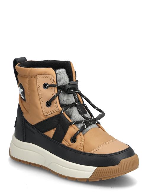 Sorel | Youth Whitney Iii Mid Wp | 38