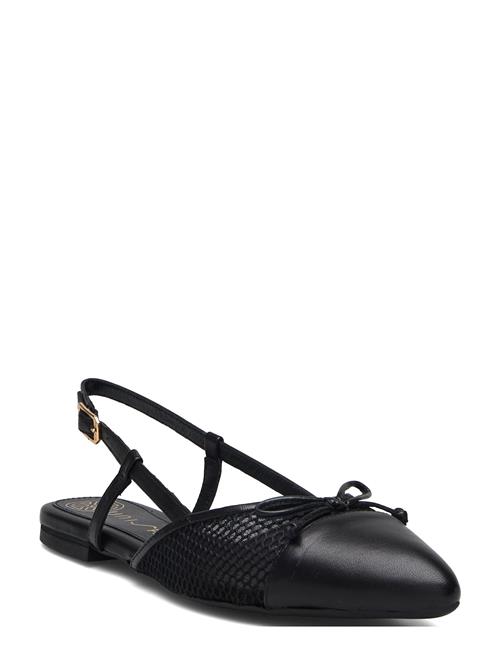 UNISA | Amalentonfi | 40