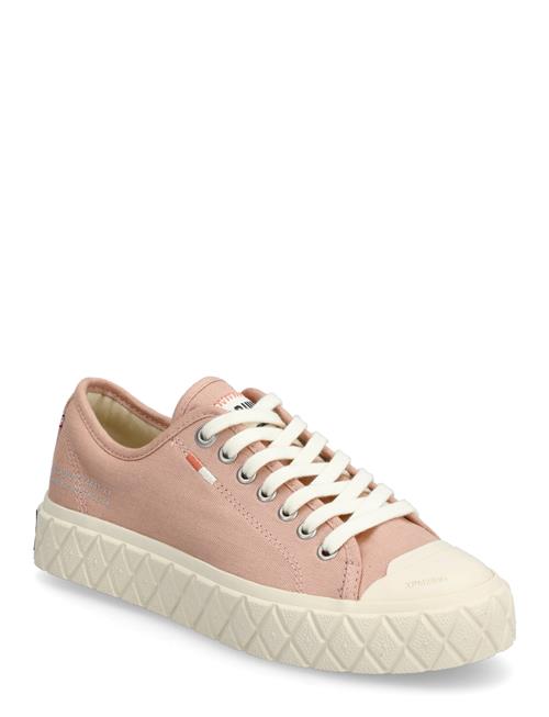 Palladium | Palla Ace Cvs Org | 41